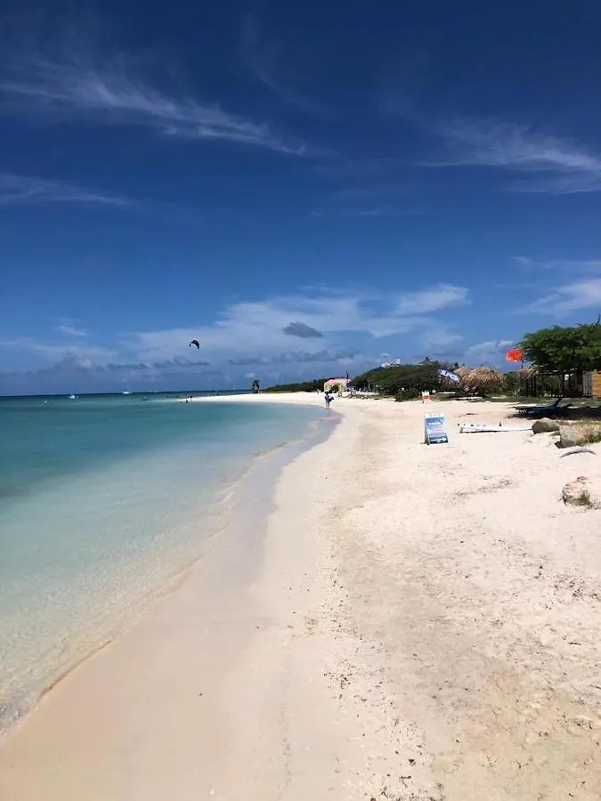 Tortuga-Iguana Studio Noord Aruba Hotel Palm Beach 0*,