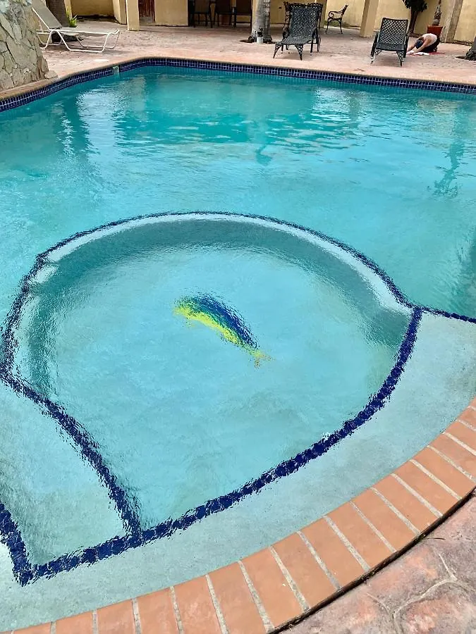Tortuga-Iguana Studio Noord Aruba Hotel Palm Beach Guest house